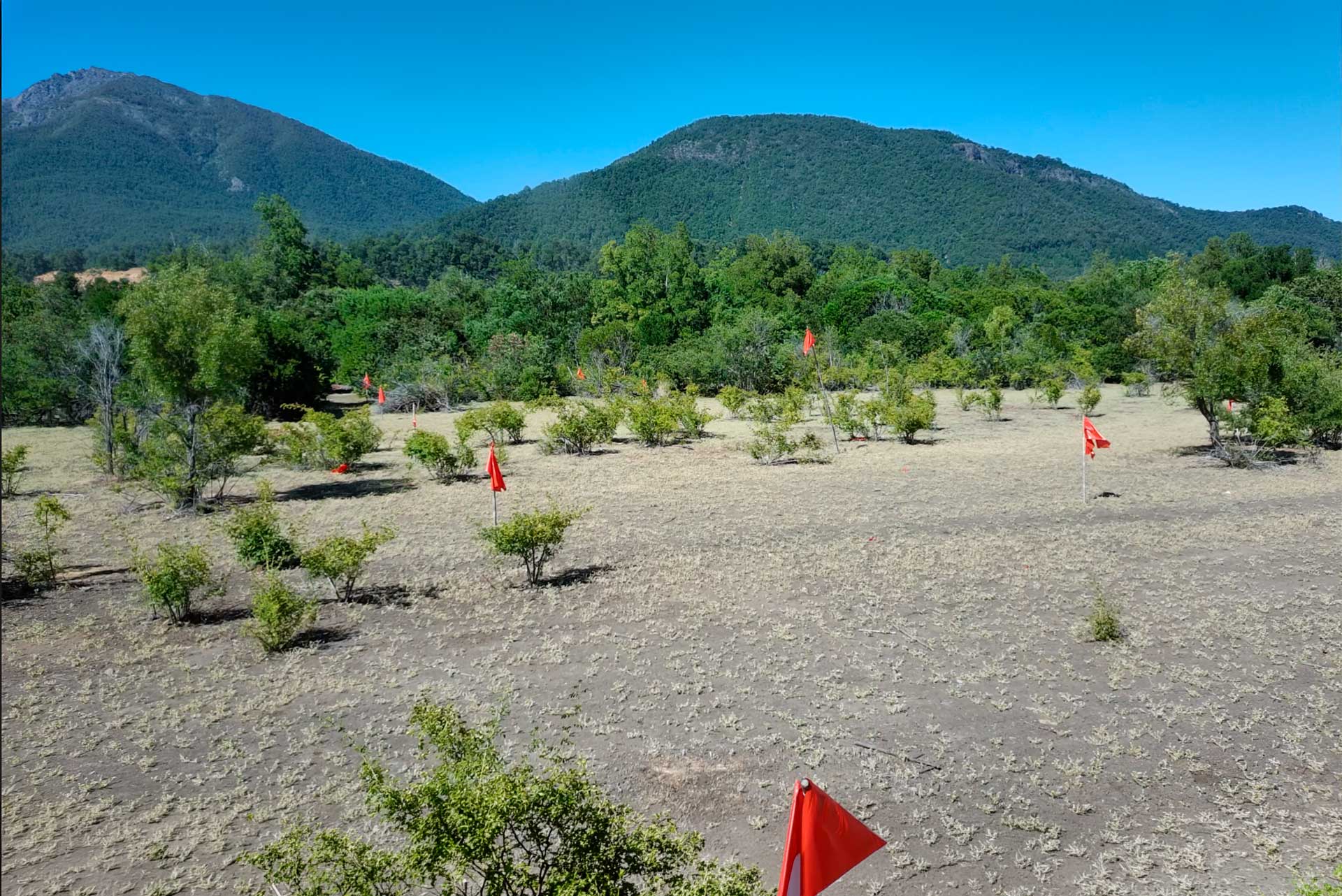Vista panorámica de las parcelas Las Pilcas en San Fabián de Alico