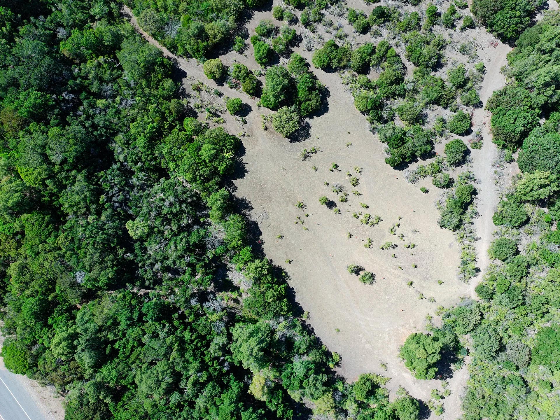 Vista panorámica del Lote 5 dentro de las parcelas Las Pilcas