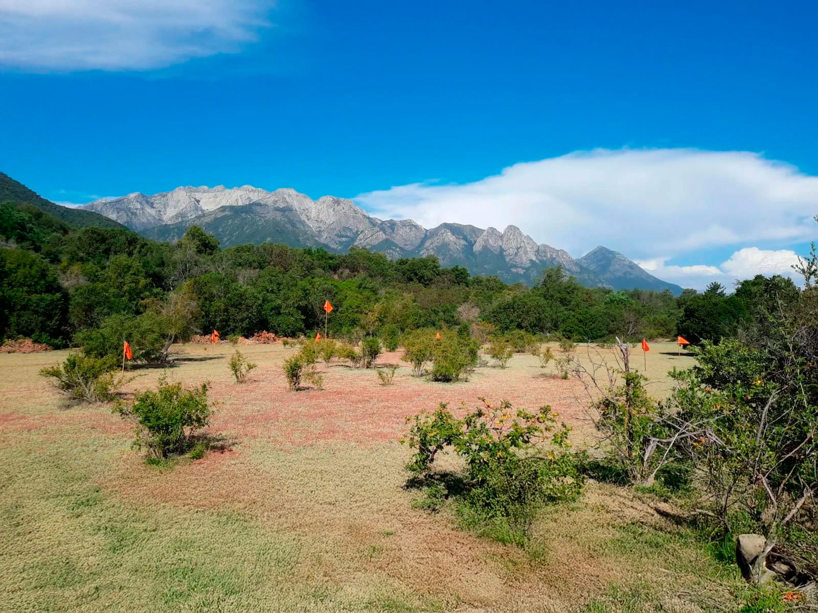 Detalle del relieve y vegetación de las parcelas de agrado Las Pilcas en Ñuble