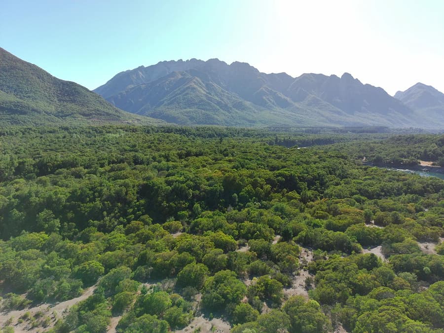 Bosque nativo y cordillera en parcelas Las Pilcas, San Fabián de Alico, Región de Ñuble