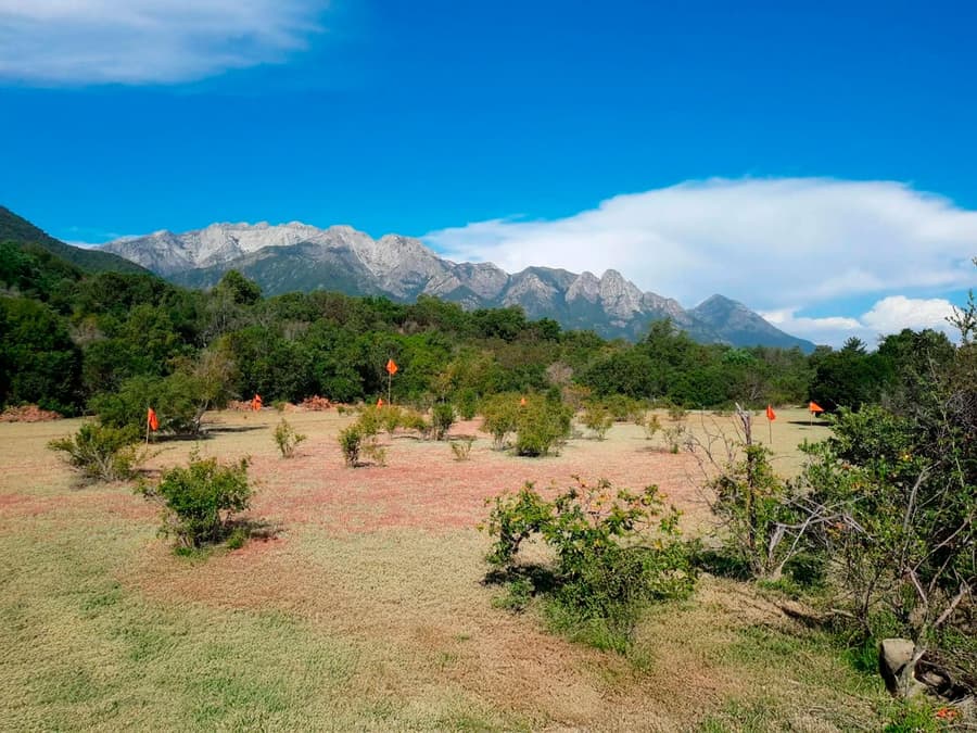 Parcelas Las Pilcas en primera etapa, lotes delimitados en precordillera de Ñuble