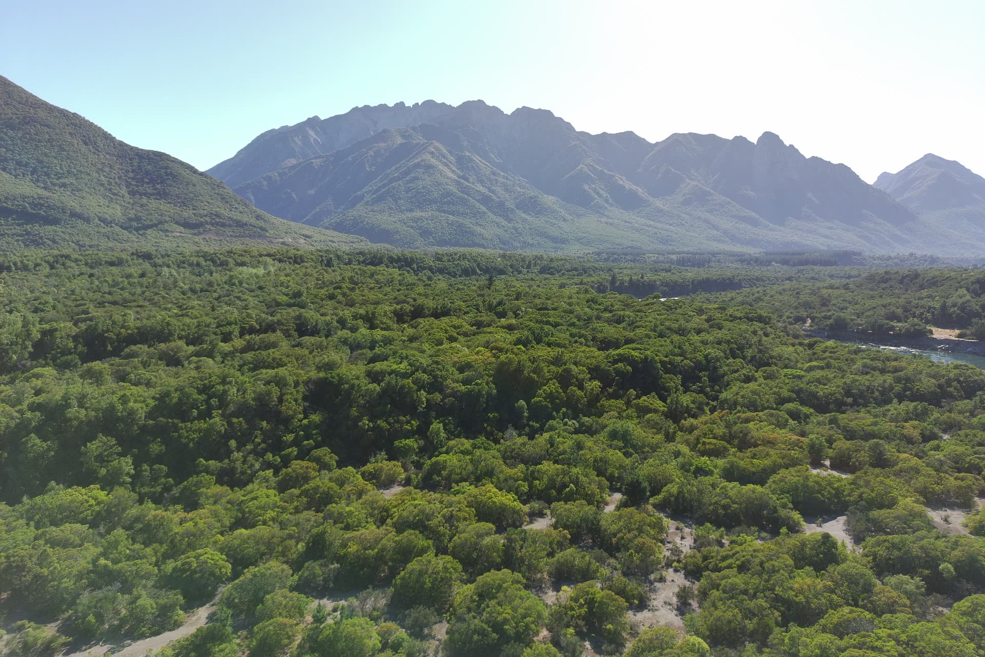 Vista aérea del bosque nativo y la cordillera en Parcelas Las Pilcas, precordillera de Ñuble, cerca de San Fabián de Alico