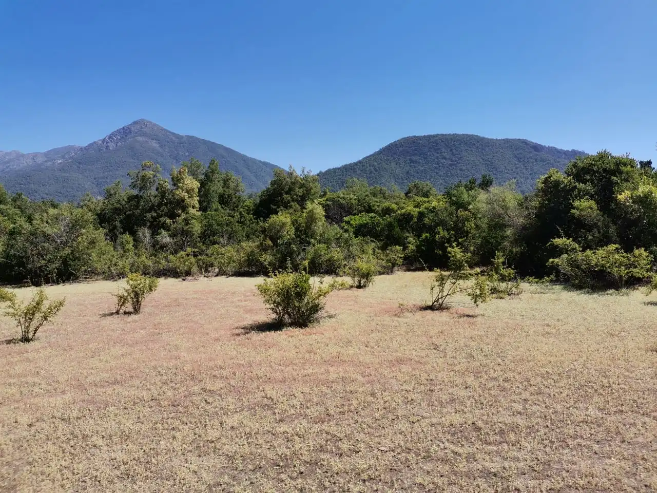 Una de las hermosas vistas de la parcela Las Pilcas